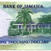 Банкнота Ямайка 1000 долларов 2008 год.