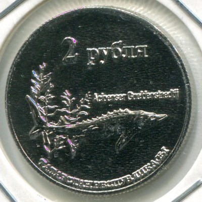 Монетовидный жетон Республика Татарстан 2 рубля 2013 год.