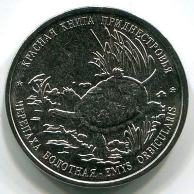 Монета Приднестровье 1 рубль 2018 год. Черепаха болотная