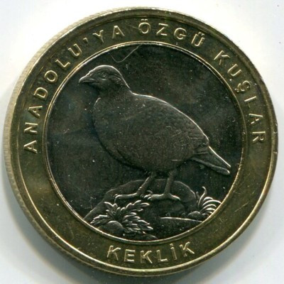 Монета Турция 1 куруш 2019 год. Азиатский кеклик.