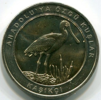 Монета Турция 1 куруш 2019 год. Колпица