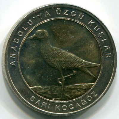 Монета Турция 1 куруш 2019 год. Авдотка