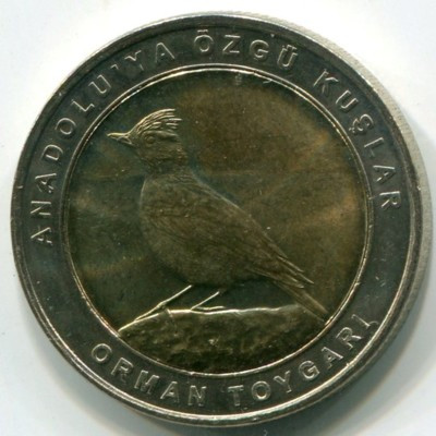 Монета Турция 1 куруш 2019 год. Лесной жаворонок.