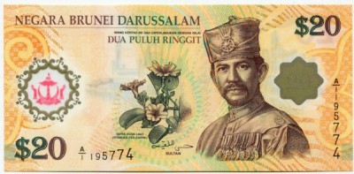 Банкнота Бруней 20 ринггит 2007 год. 