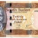 Банкнота Южный Судан 20 фунтов 2017 год.