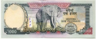 Банкнота Непал 1000 рупий 2013 год.