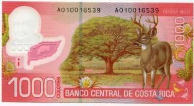 Банкнота Коста-Рика 1000 колон 2009 год.