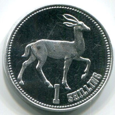 Монета Сомалиленд 1 шиллинг 2019 год.