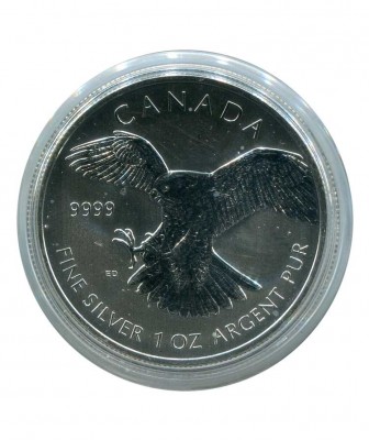 Канада, серебряная монета 5 долларов Сапсан 2014 г.