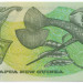 Банкнота Папуа Новая Гвинея 2 кина 1991 год. IX Южно-тихоокеанские Игры.