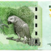 Банкнота Конго 1000 франков 2013 год.