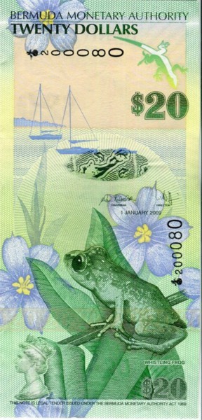 Бермудские острова, 20 долларов 2009 год