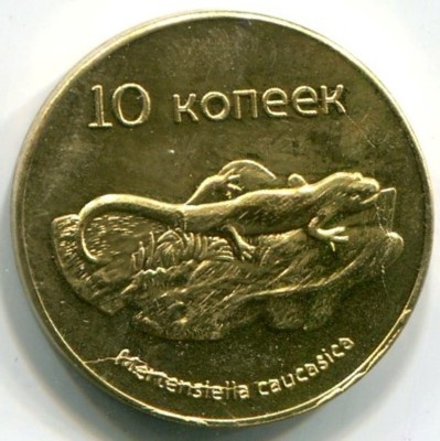 Монета Южная Осетия 10 копеек 2013 год.