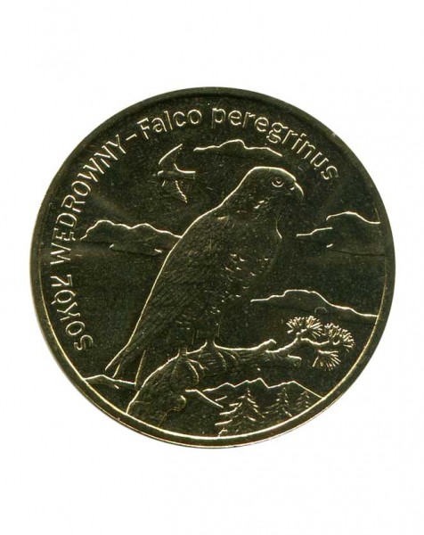 2 злотых, Сокол - сапсан 2008 г. Животный мир