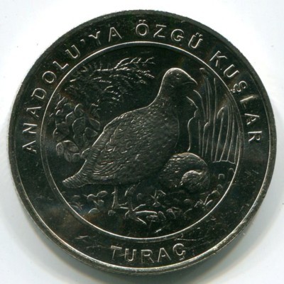Монета Турция 1 куруш 2018 год. Турач