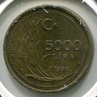 Монета Турция 5000 лир 1996 год.
