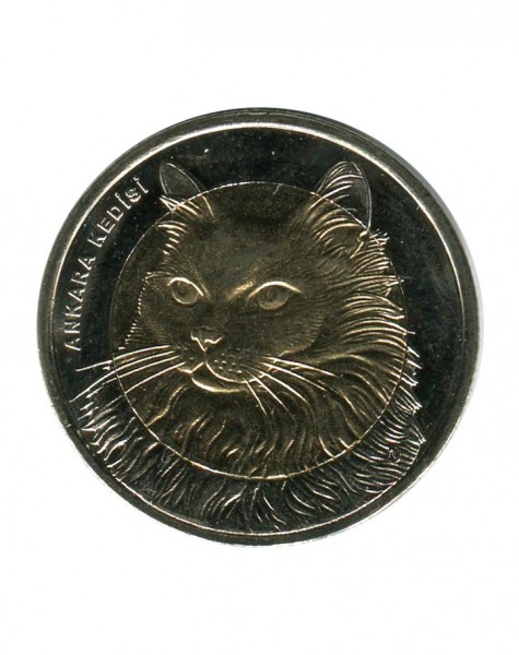 Турция, 1 лира Кошка 2010 г. Красная книга