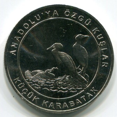 Монета Турция 1 куруш 2018 год. Малый баклан