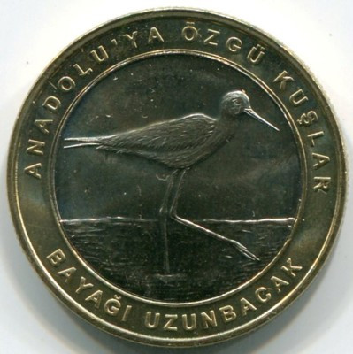 Монета Турция 1 куруш 2019 год. Ходулочник