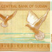 Банкнота Судан 1 фунт 2006 год.