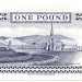 Банкнота Остров Мэн 1 фунт 1991 год.