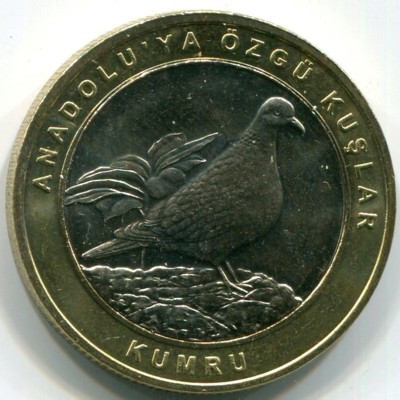 Монета Турция 1 куруш 2019 год. Горлица