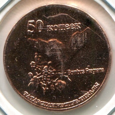 Монетовидный жетон Республика Татарстан 50 копеек 2013 год.