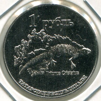 Монетовидный жетон Республика Татарстан 1 рубль 2013 год.